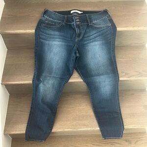 Torrid Denim Jeans: Jeggings